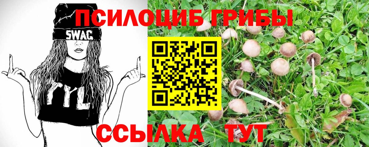 Галлюциногенные грибы прущие грибы  Вход с VPN  Кулебаки 