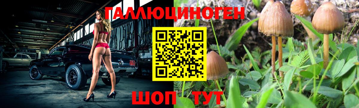 Галлюциногенные грибы Cubensis Кулебаки
